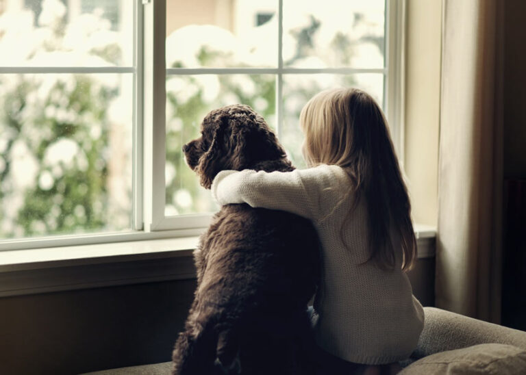 Our Promise | Boise Window Washing